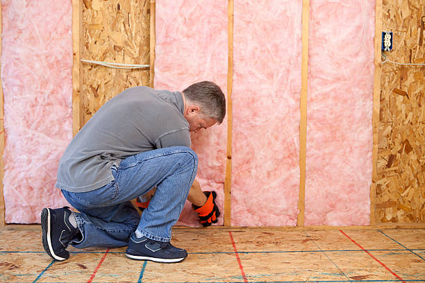 Best Geographic-Specific Insulation Services in Fort Defiance, AZ