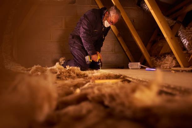 Best Spray Foam Insulation in Fort Defiance, AZ