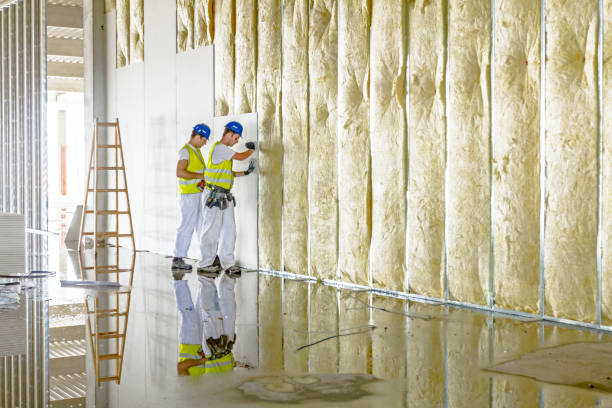 Best Energy Efficiency Insulation in Fort Defiance, AZ